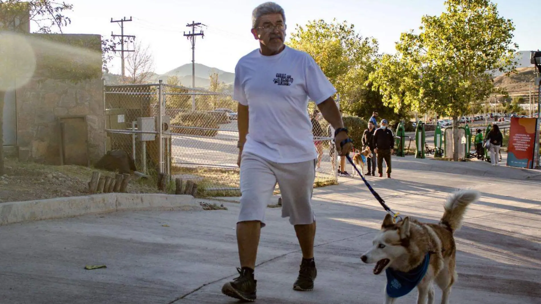 Carreras con perros 2